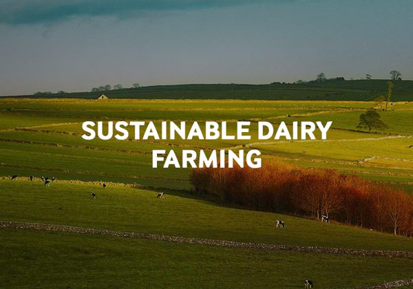 Read about our sustainable farming initiative.