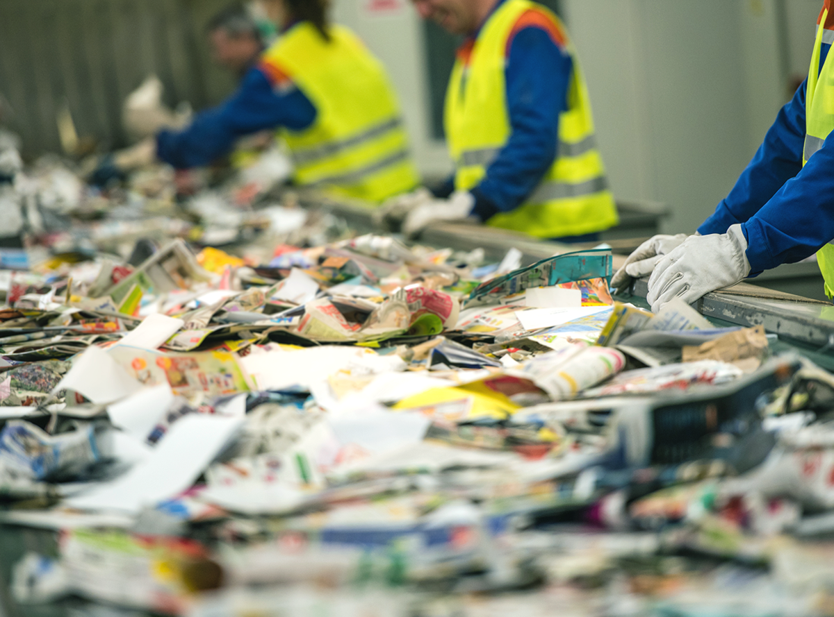 The conveyor belt at a recycling plant