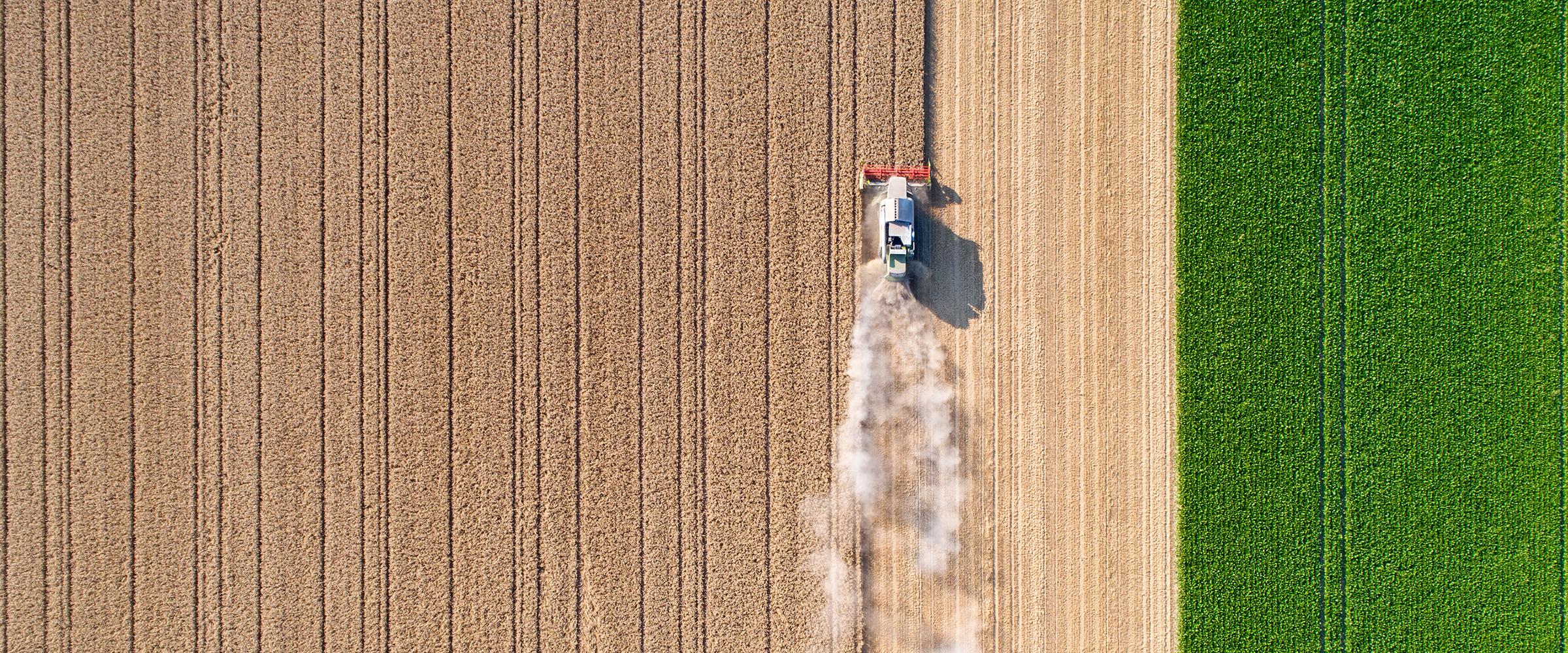 A combine harvester working through a field
