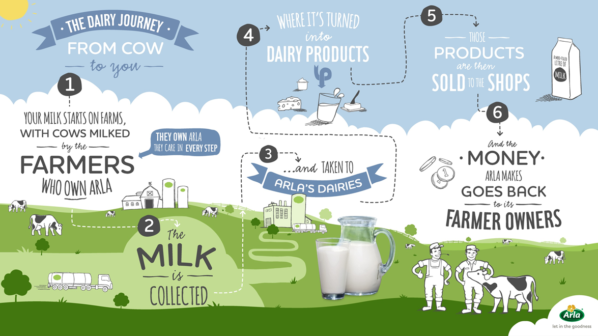 The Dairy Journey from cow to you infographic