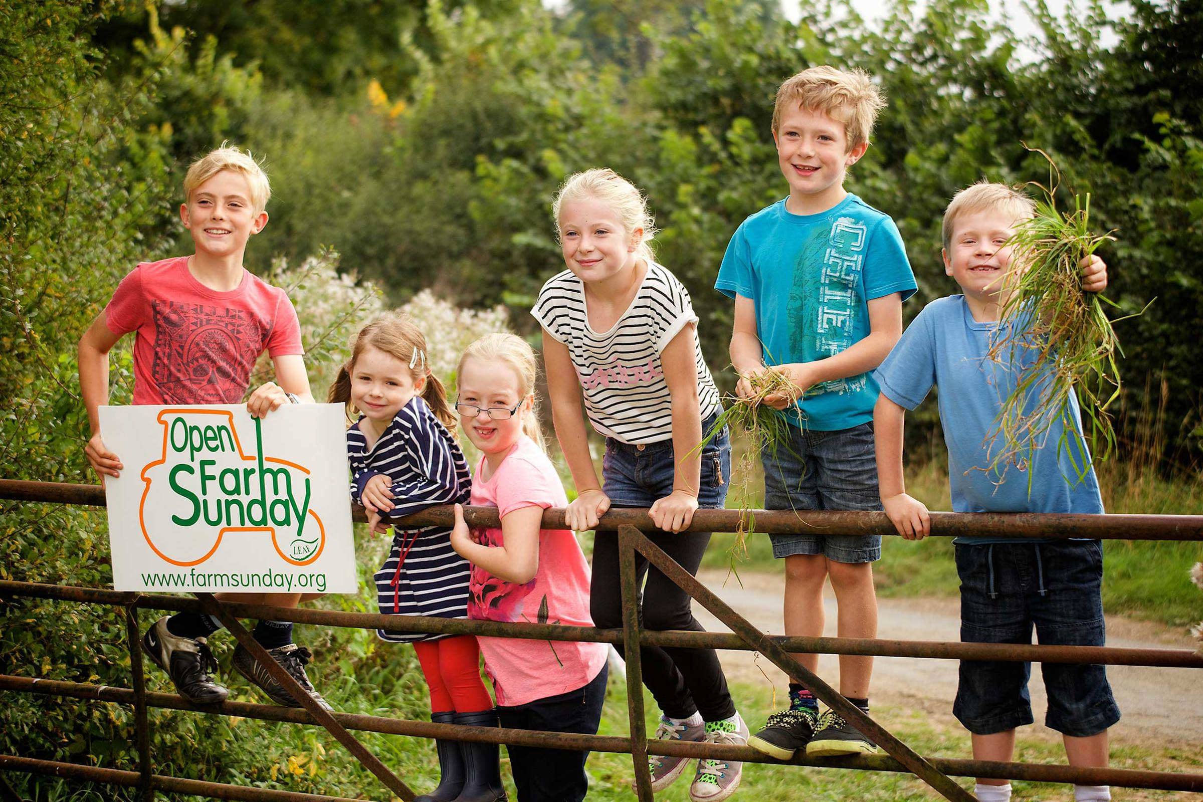 Children standing on farm gate one of whom is holding an Open Farm Sunday sign