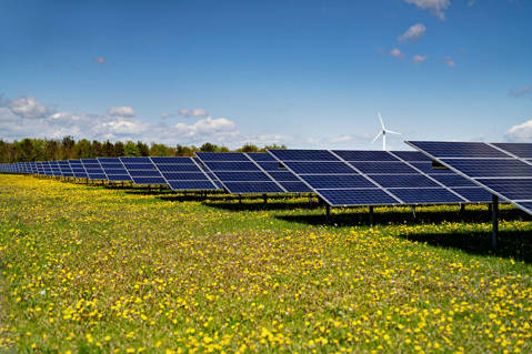 Solar panels on farm