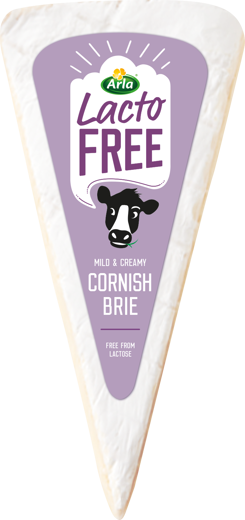 Cornish Brie