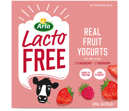 Real Fruit Yogurts - 2 x Strawberry and 2 x Raspberry
