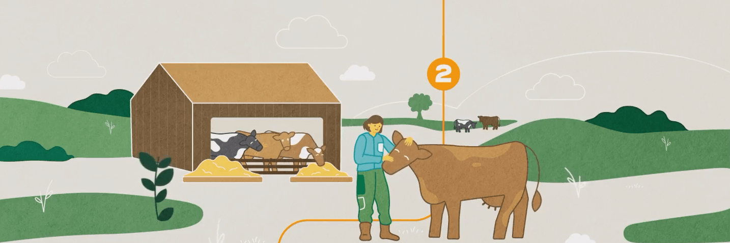 Where delicious dairy begins