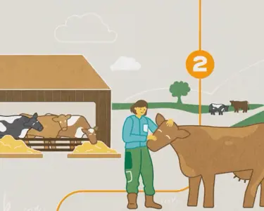 Where delicious dairy begins