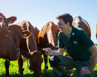 Creamery farmer holding cheese