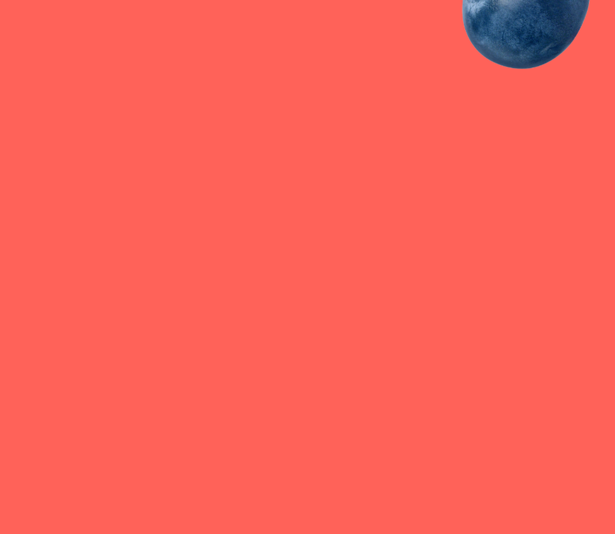 A blueberry on a red background