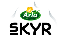 Skyr logo