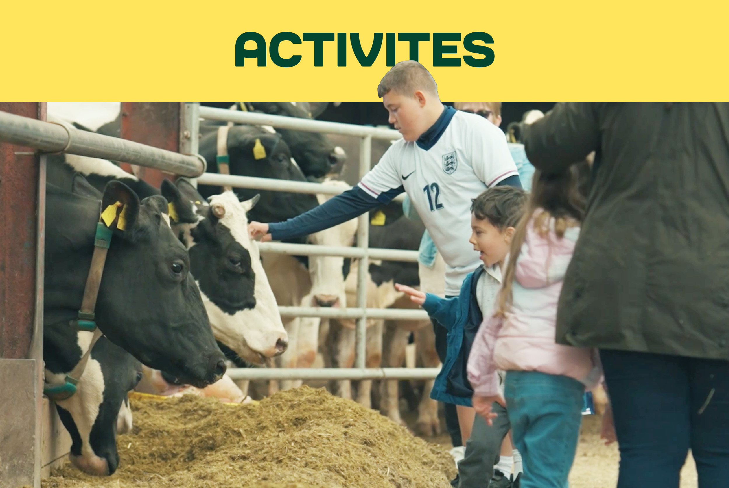 Open farm activities