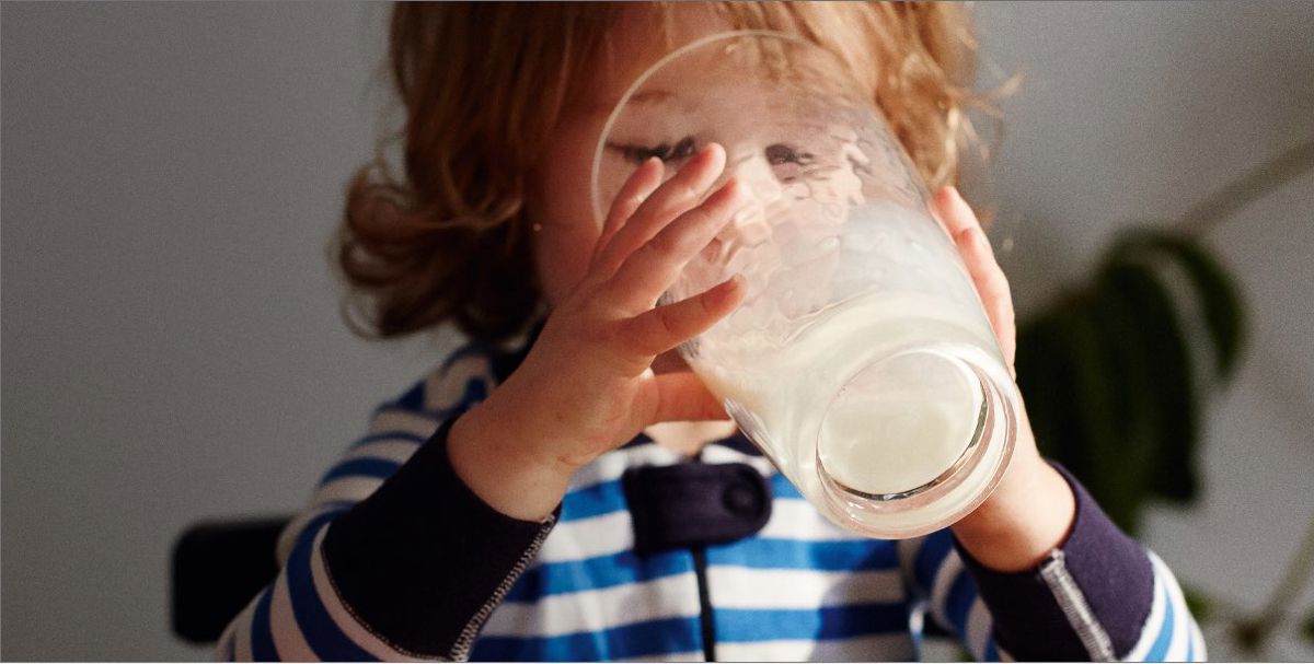 Small boy drinking milk