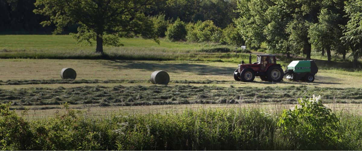 Farm landscape view