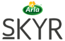 Skyr logo