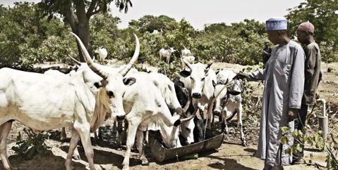 Farmers in Nigeria