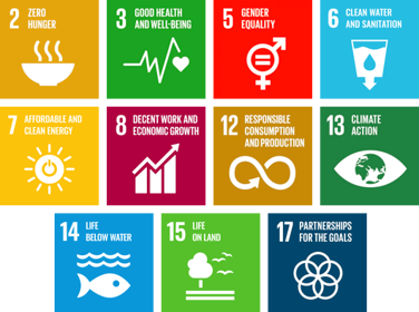 Arla contributes to the realisation of the UN’s Sustainable Development Goals (SDGs)