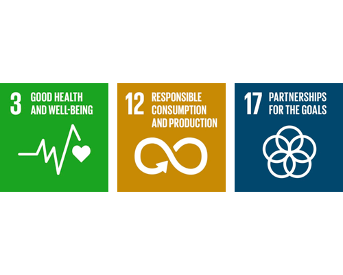UN global goals of sustainable development diagram