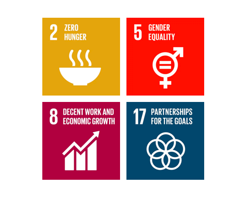 UN global goals of sustainable development diagram