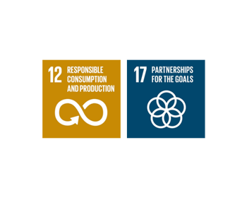 The UN Global Goals of Sustainable Development