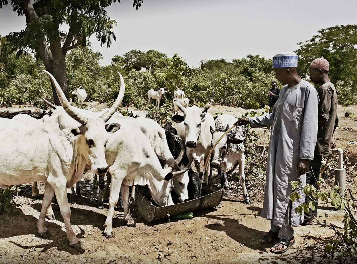Farmers in Nigeria 