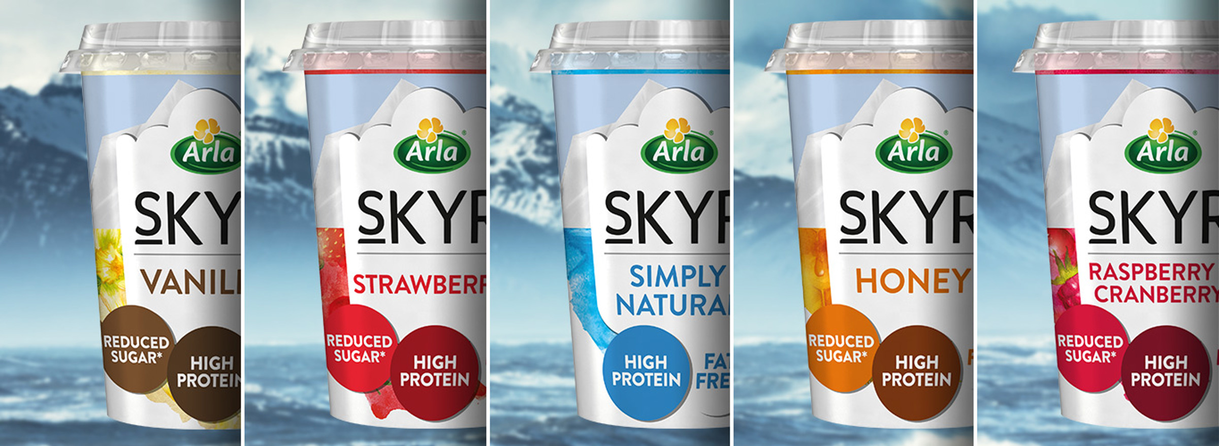 The Skyr range