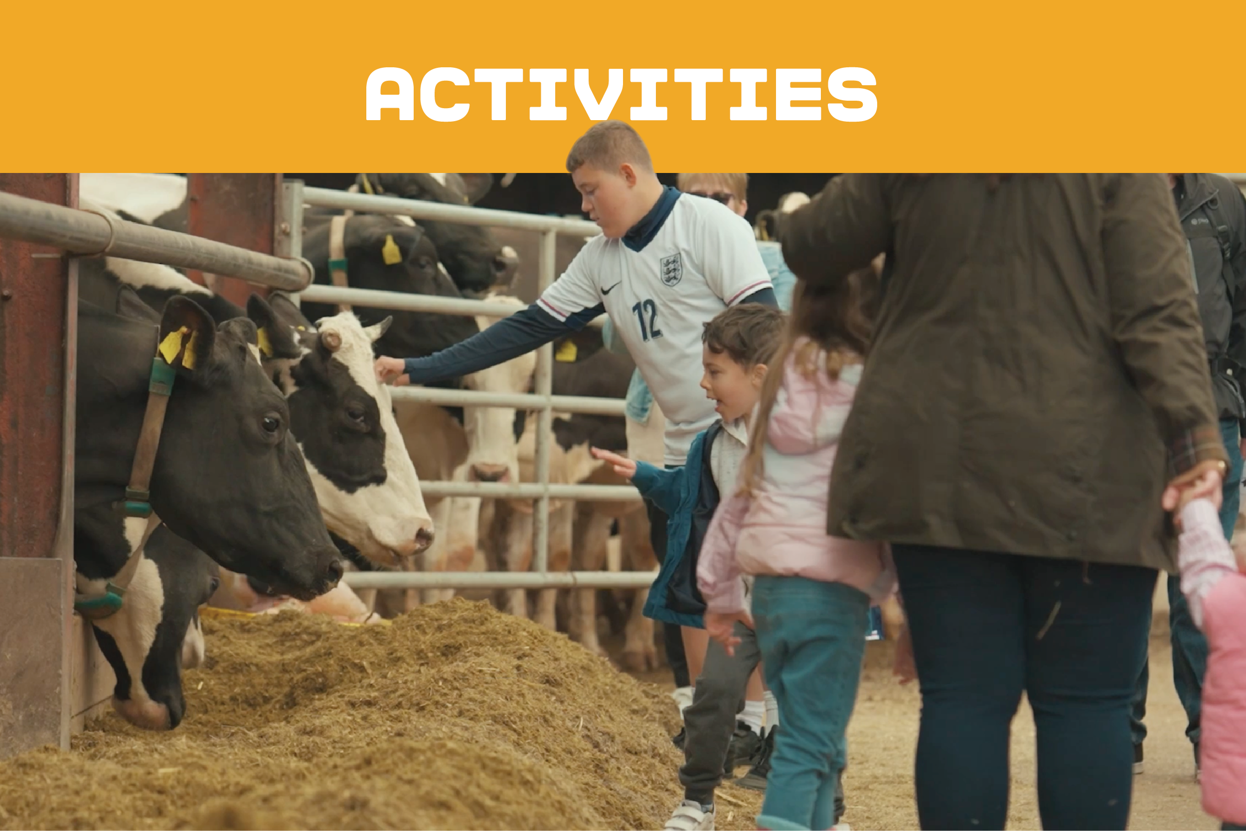 Open farm activities
