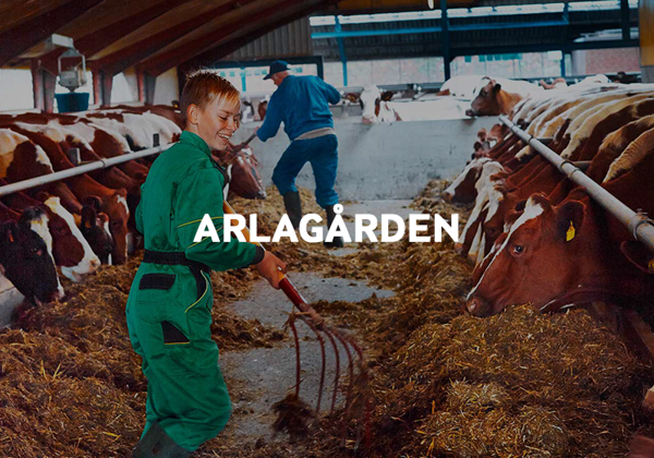 Read about our farm assurance programme - Arlagården.