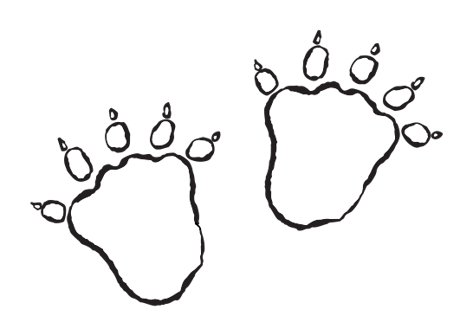 Gruffalo footprints
