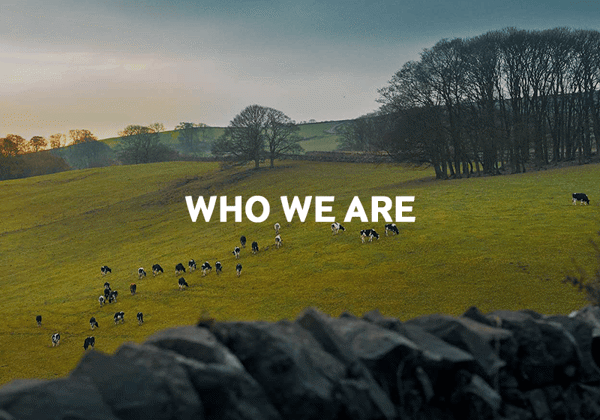 Learn more about Arla as a dairy owned cooperative