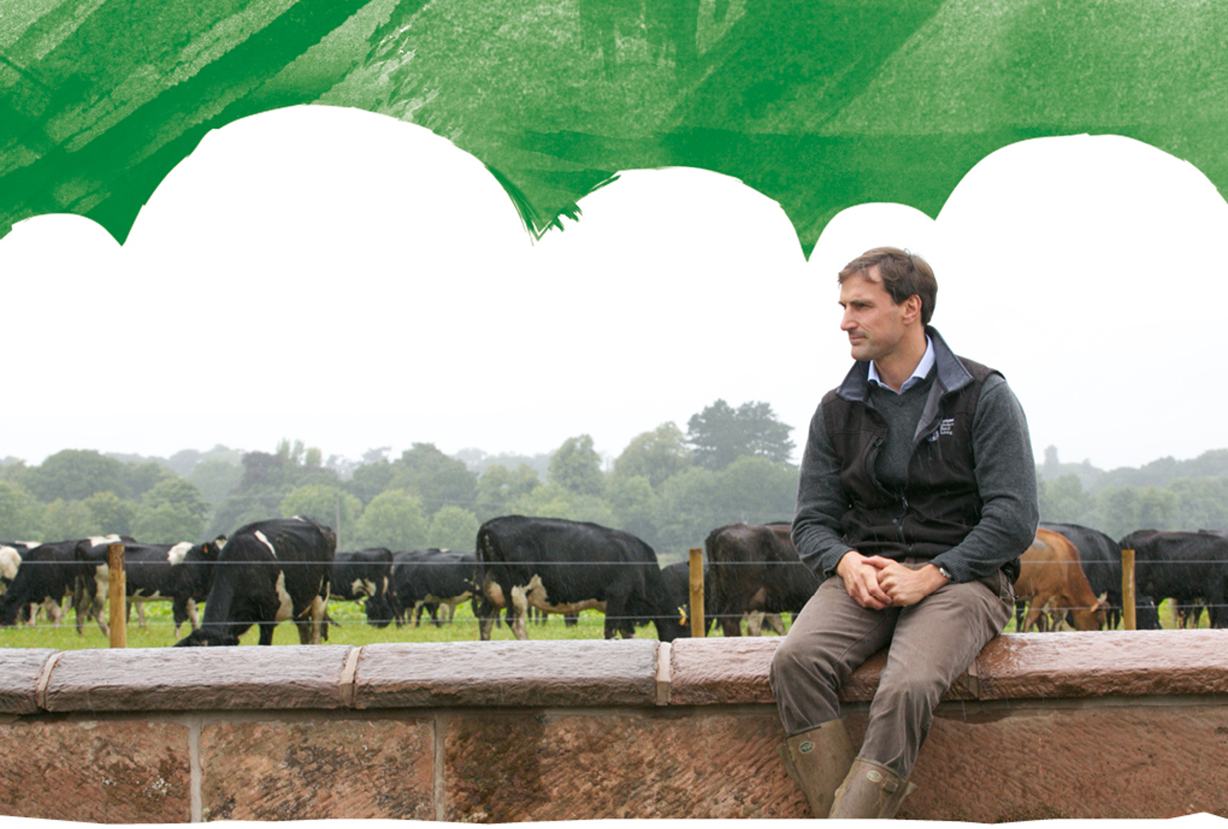 An Arla farmer sat on a wall in front of cows