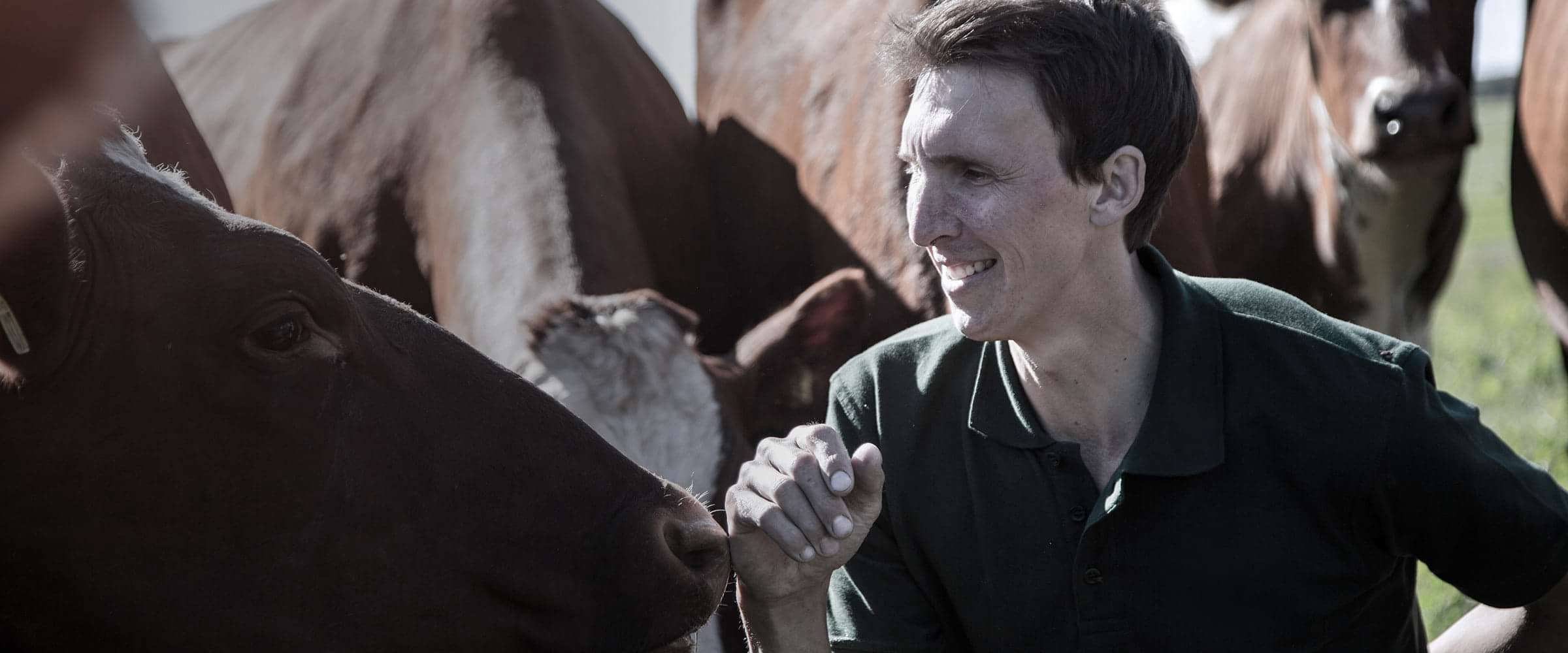 A farmer with cows