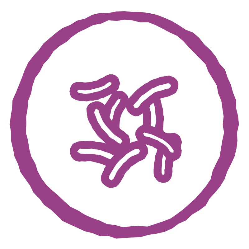 Unique bacteria cultures