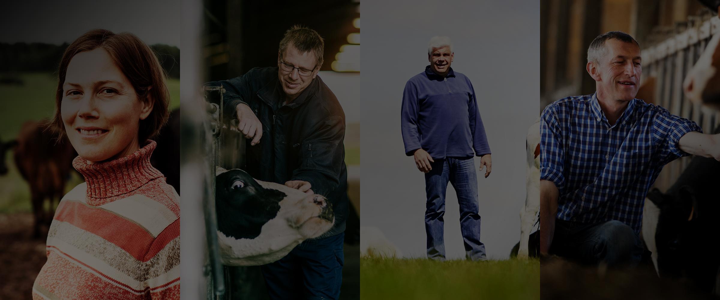 Composite of 4 farmers portraits