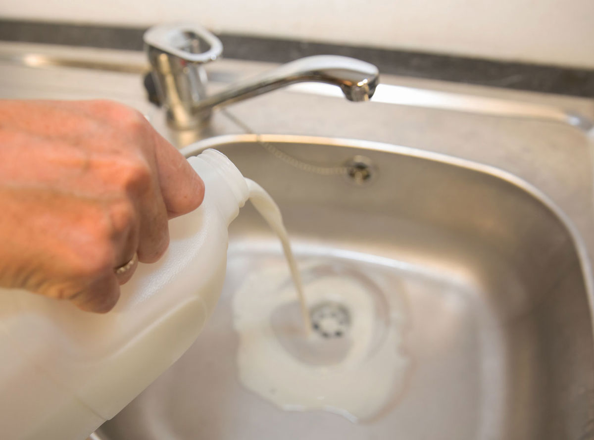 Milk being poured into a kitchen sink drain