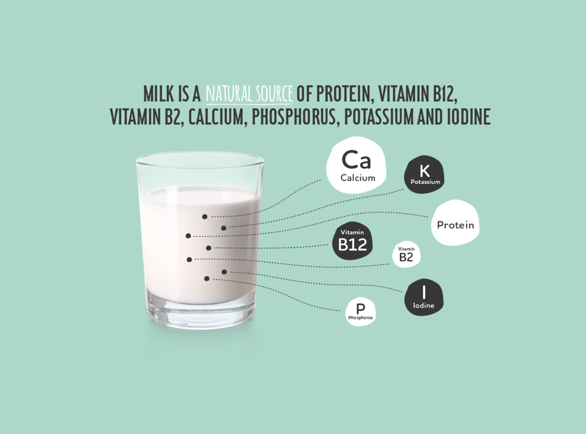 Milk is a natural source of protein, vitamin b12, vitamin b2, calcium, phosphorus, potassium and iodine