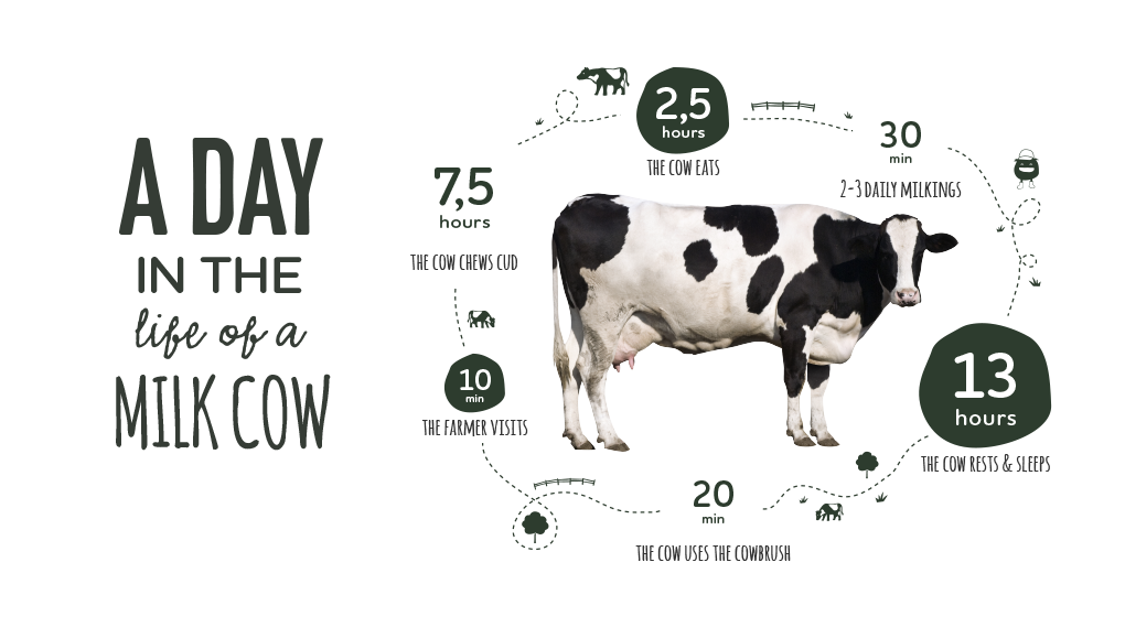 Our Farms - Happy cows are healthy cows | Arla UK