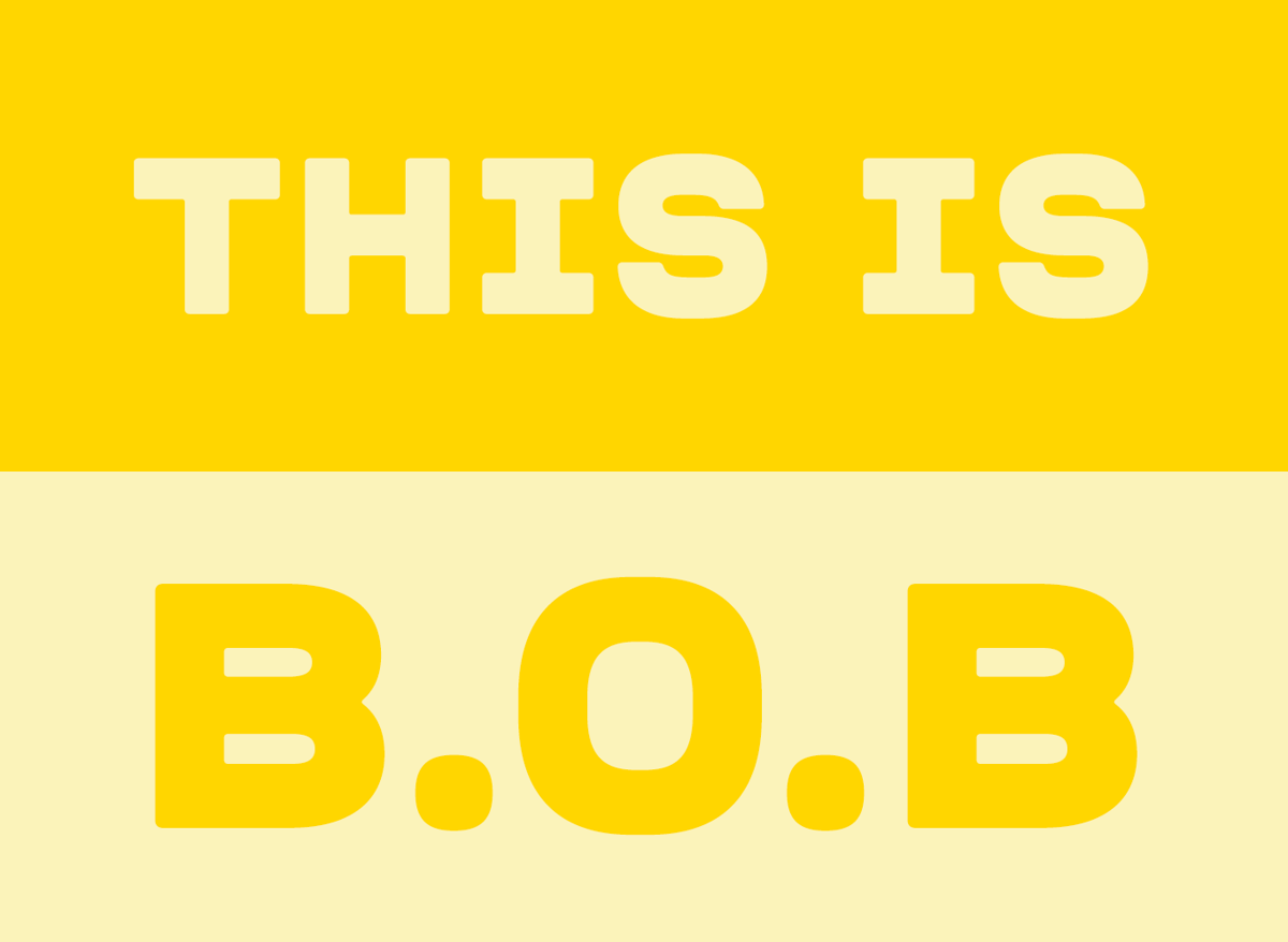 This is B.O.B.