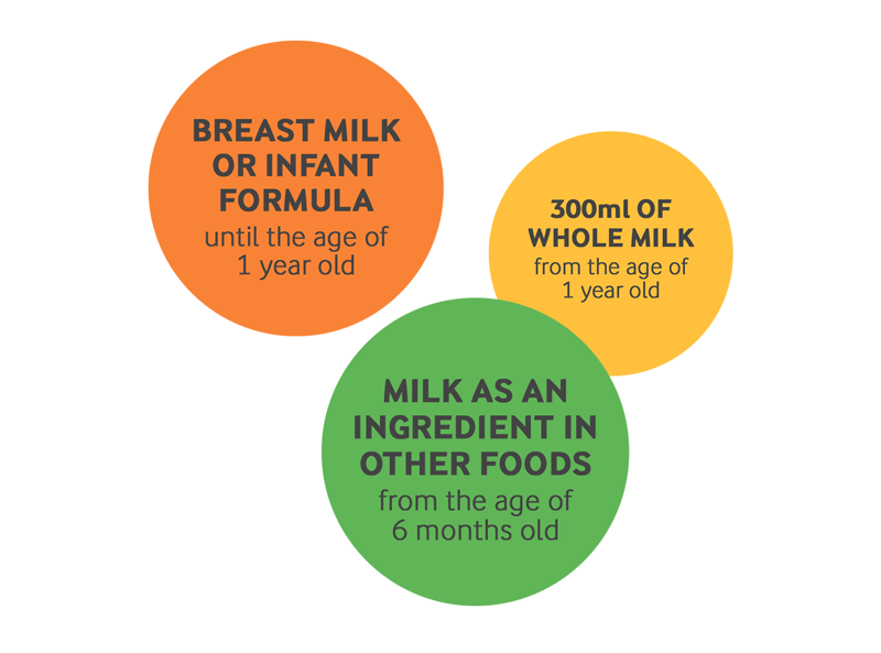Breast milk or infant formula until the age of 1 year old. 300ml of whole milk from the age of 1 year old. Milk as an ingredient in other foods from the age of 6 months old.