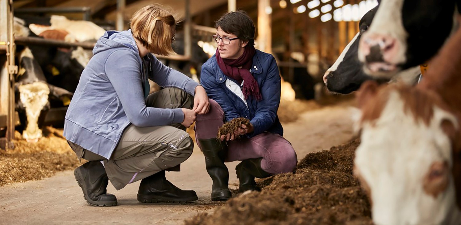 Looking after our planet