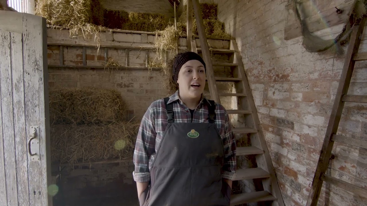 Behind the scenes - Playing music to cows