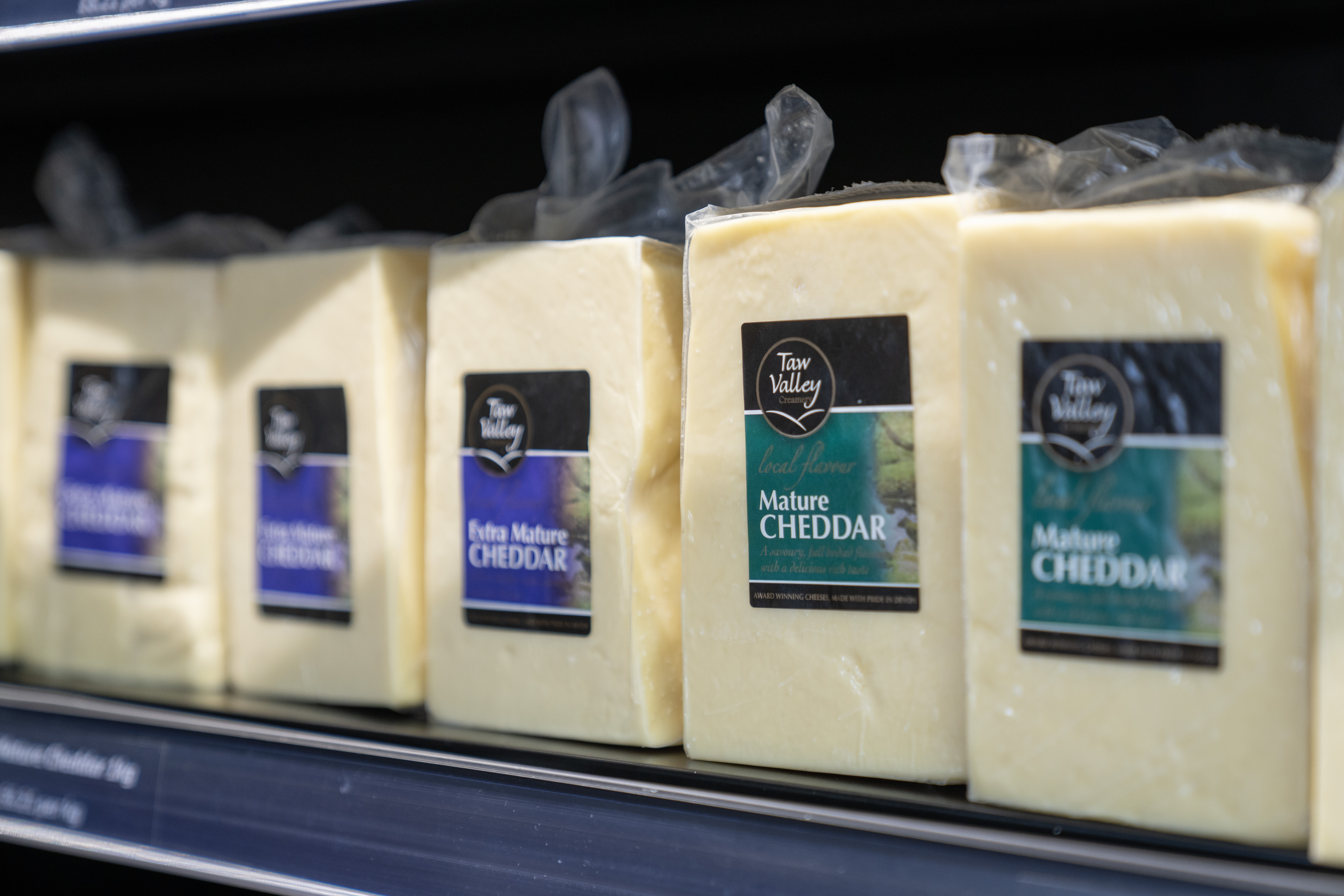 Vintage photo of creamery with overly of award stamp