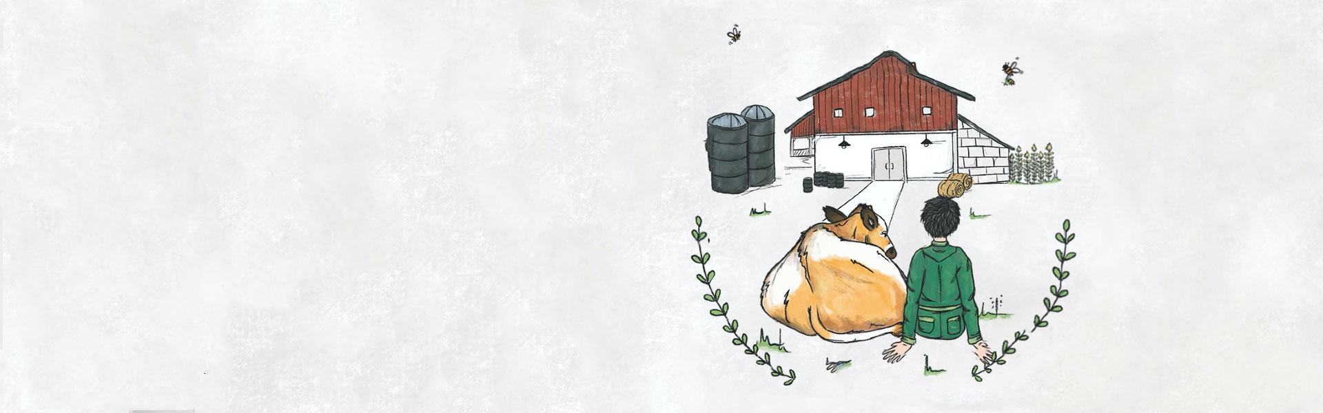 Terms and Conditions