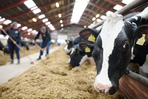 Measuring and reducing farm emissions