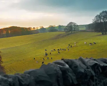 IT ALL STARTS WITH OUR FARMERS