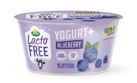 Blueberry Yogurt+