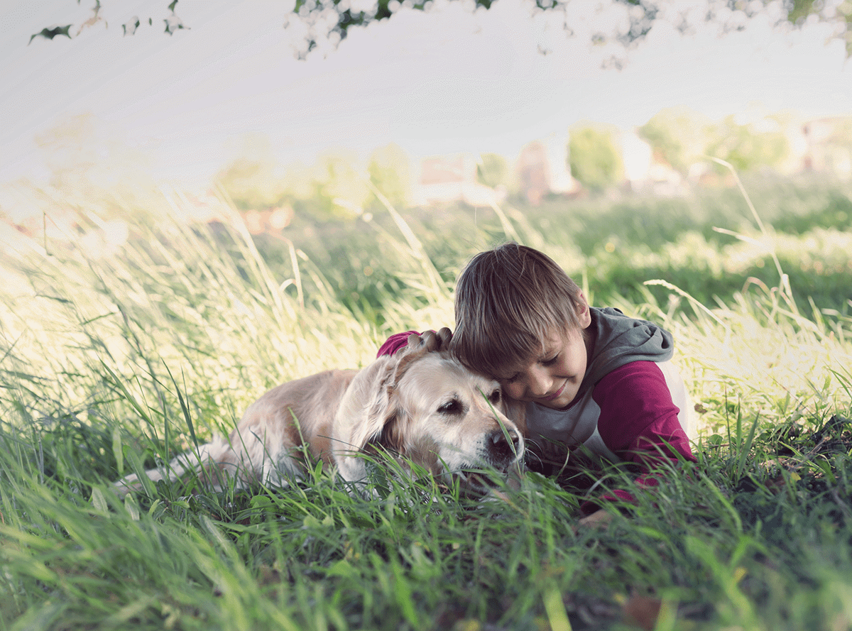 A boy hugging his dog both lying in tall grass