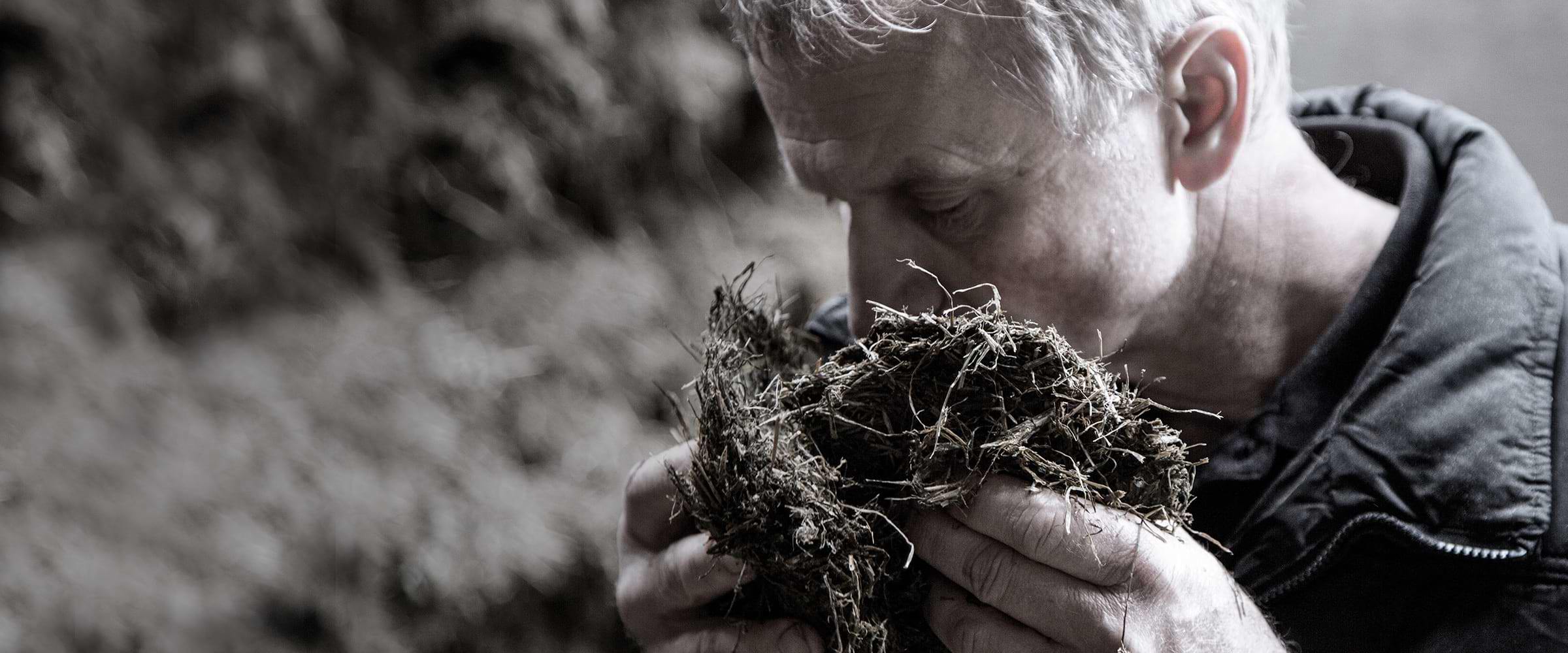 A farmer smelling clumps of hay