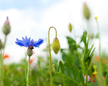 Standing up for nature