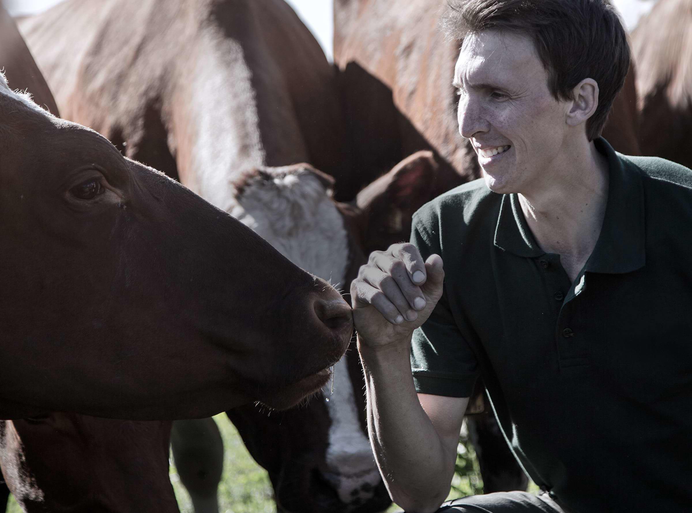 A farmer with cows